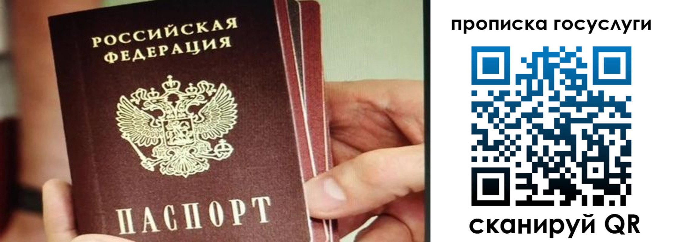 пропишу в квартире в Ростовской области